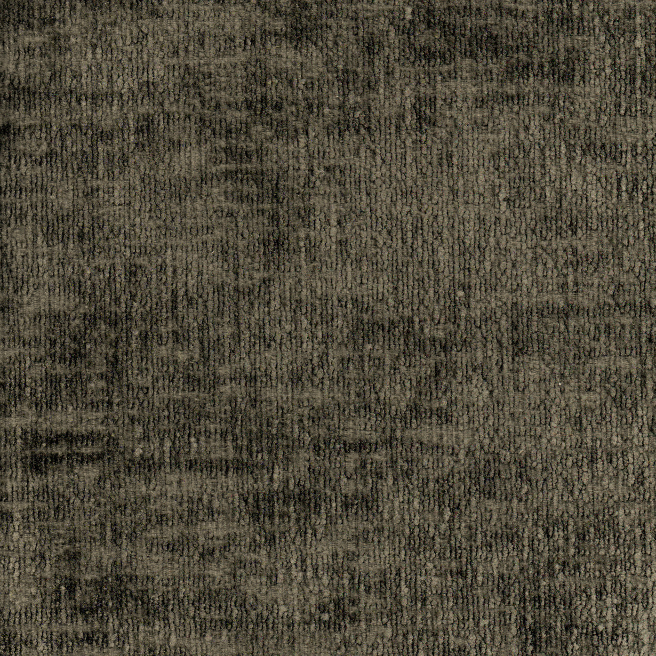 POODLE 059