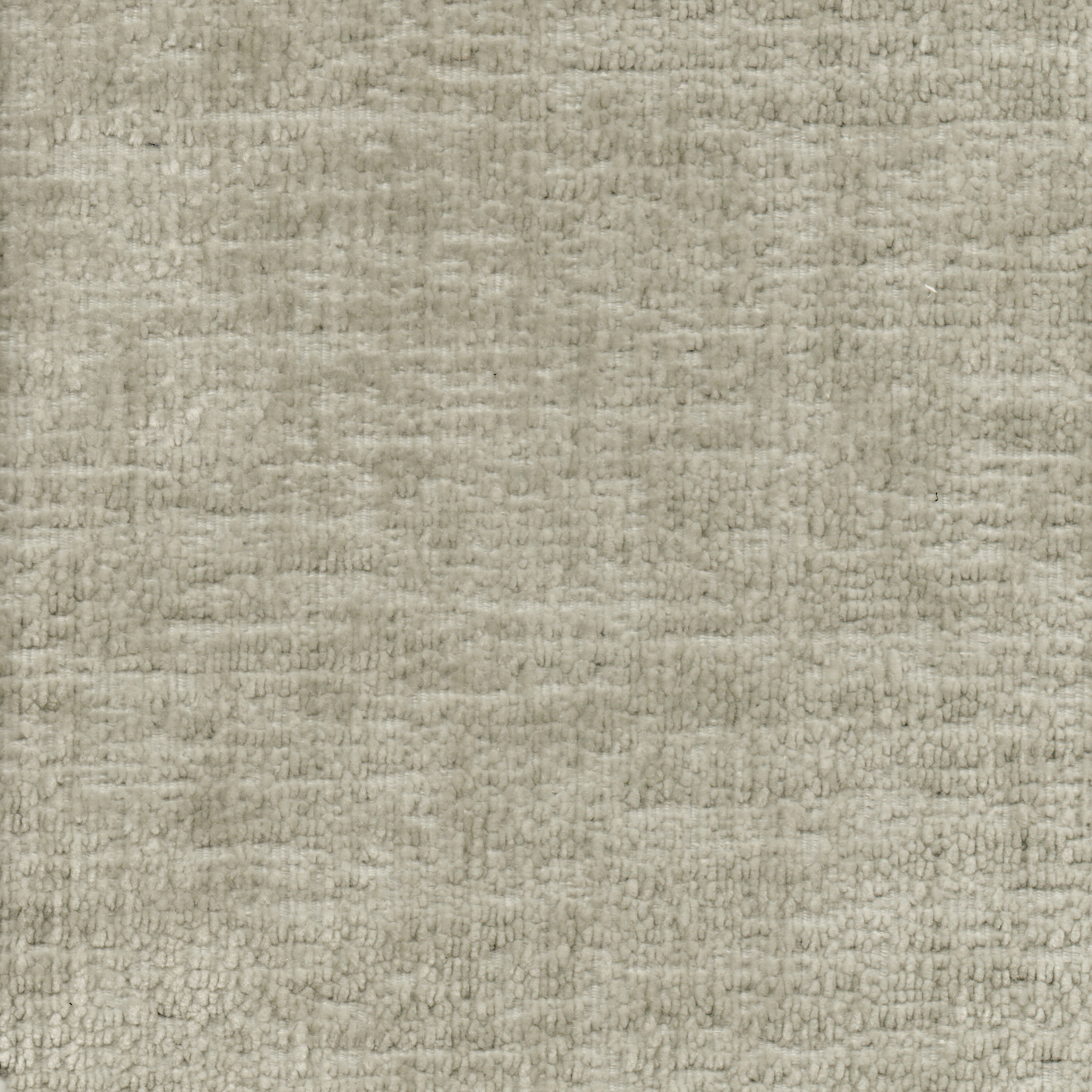 POODLE 061